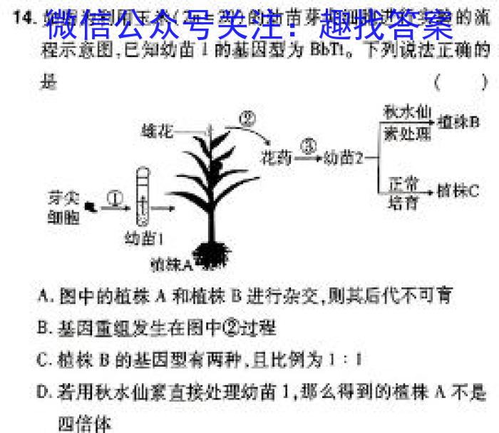 九师联盟 2024届山西省高三4月联考生物