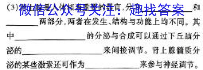 河北省2023~2024学年高二第二学期一调考试(24488B)数学试题生物学试题答案