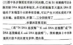 2024届蚌埠市高三第四次教学质量检查考试生物