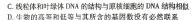 山西省2024年九年级下学期4月适应性考试（4.29）生物学部分