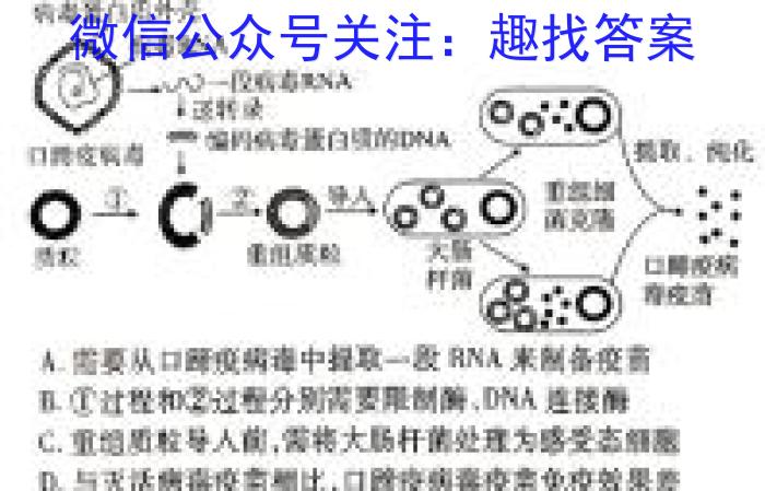 广东省2023-2024学年度高三5月联考(24065C)生物学试题答案