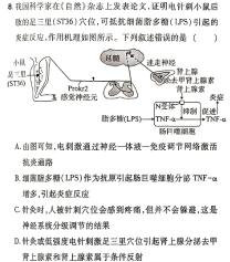 2024年广东省初中毕业生学业模拟考试(四)生物