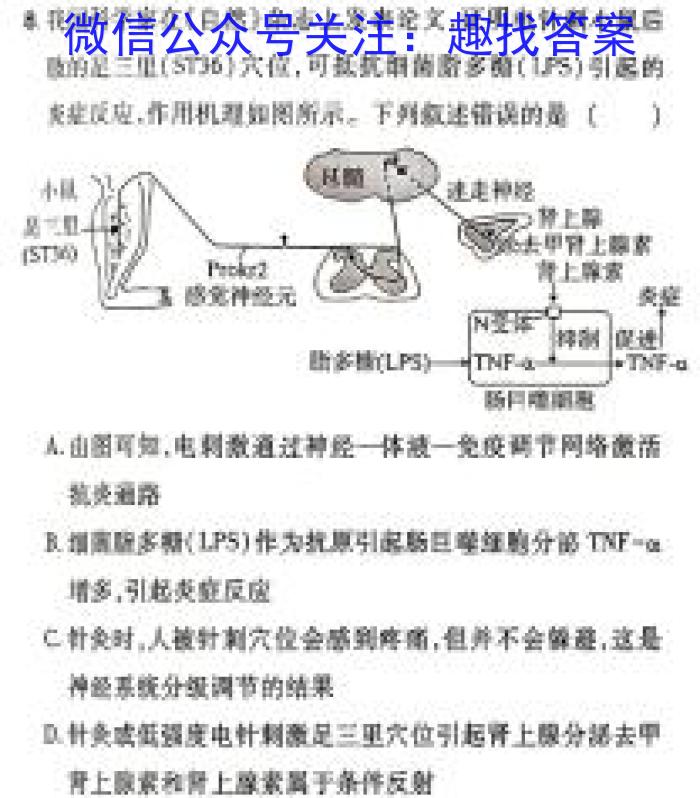 2024年山东省普通高中学业水平等级考试冲刺压轴卷(二)生物学试题答案