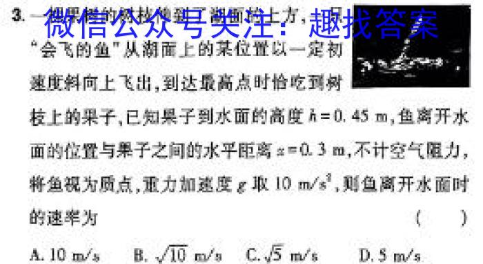 湖北省2024年高考冲刺模拟卷(一)1物理`