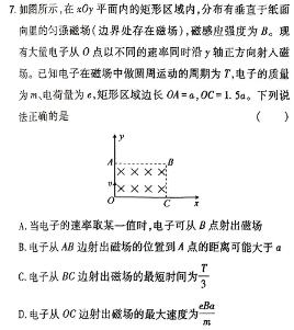 河南省鹤壁市2023-2024学年七年级下期期末教学质量调研测试(物理)试卷答案