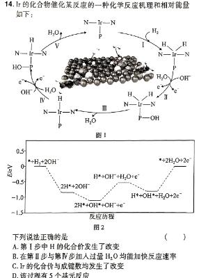 1陕西省2023-2024学年八年级第二学期期末教学质量检测试卷化学试卷答案