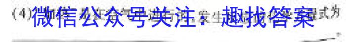 陕西省2024-2025学年度第一学期九年级开学收心检测卷B化学