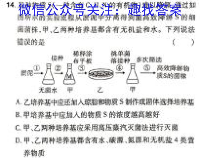 广西北海博文高中2024-2025学年高三上学期第一次模拟考试生物学试题答案