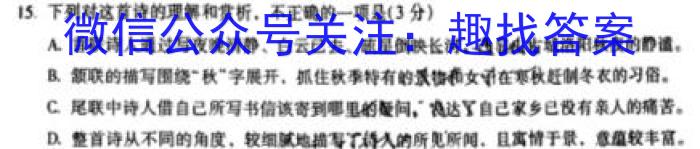 内部资料·加速高升鼎新卷2024年安徽省初中学业水平模拟考试（A卷）语文