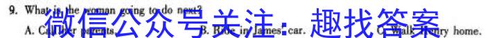 河南省新乡市2023-2024学年九年级考前模拟试卷英语试卷答案