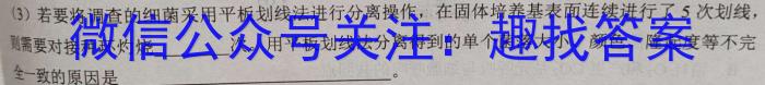 四川省2023-2024学年第二学期高二年级下学期5月联考（533）生物学试题答案