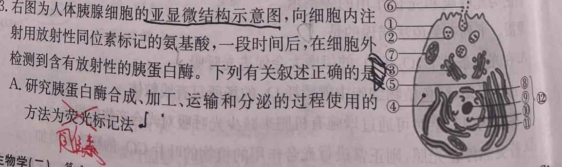 四川省2024年成都市2022级高中毕业班摸底测试生物