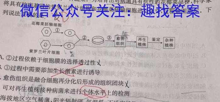 漯河市2023-2024学年下学期期末质量监测（高二年级）生物学试题答案