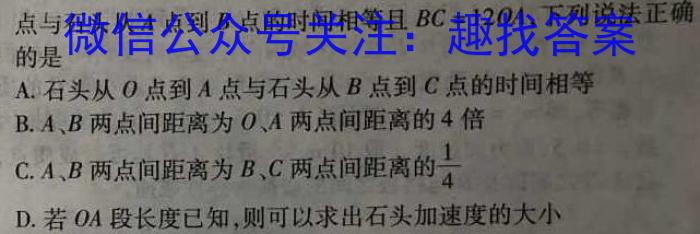 黑龙江省2023-2024学年下学期六校联盟高三年级联合性适应测试物理