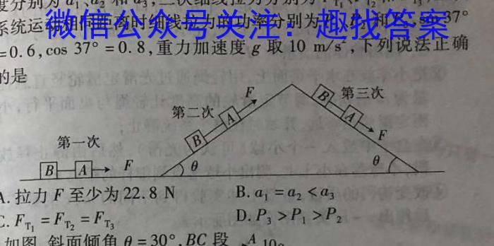 文博志鸿 2024年河北省初中毕业生升学文化课模拟考试(密卷二)物理`