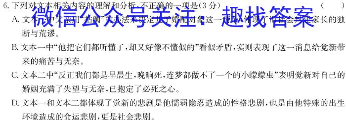 贵州省2024学年度第二学期八年级下册期末提升试卷（二）语文