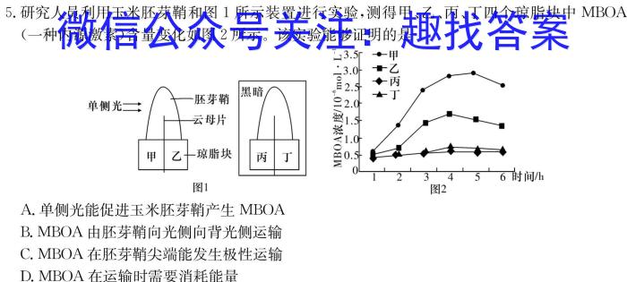 稳派大联考·江西省2023-2024学年度第二学期高二年级3月联考生物学试题答案