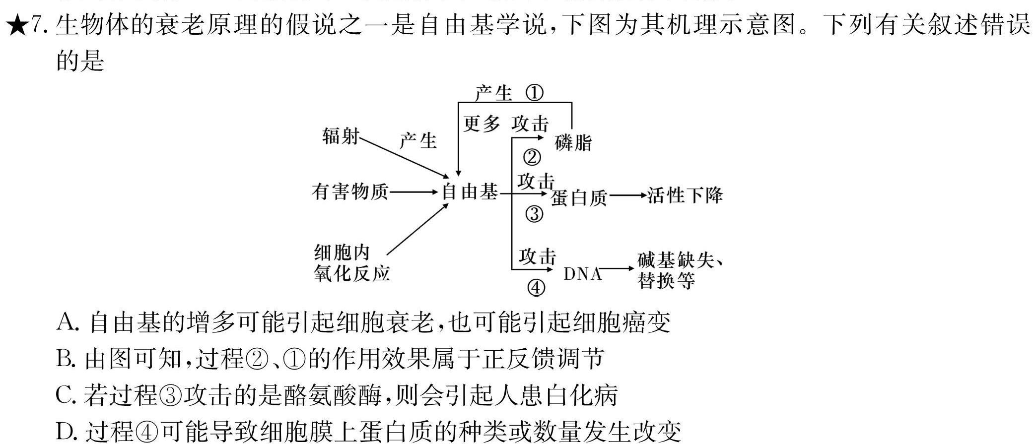 [泰安一模]山东省泰安市2023-2024学年高三一轮检测生物学