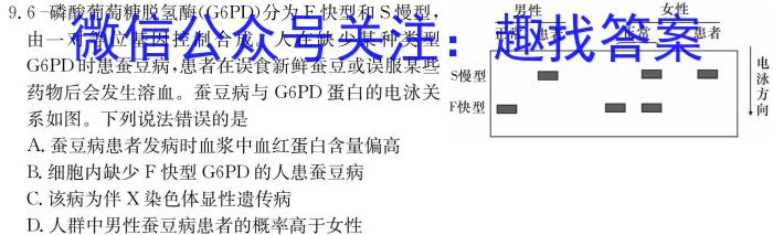 大湾区2023-2024学年第二学期期末联合考试（高一年级）生物学试题答案