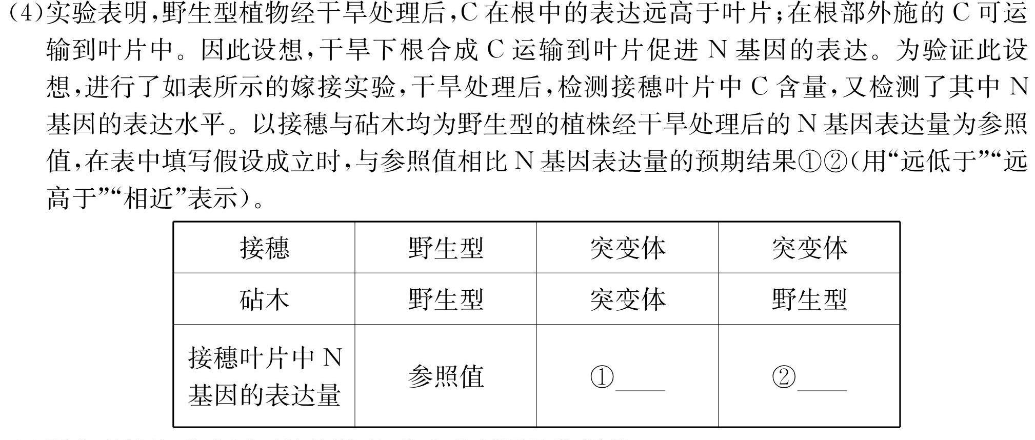 名校计划2024年河北省中考适应性模拟检测试卷(预测一)生物