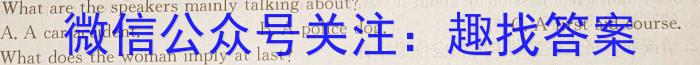 安徽省2024年中考密卷·先享模拟卷（三）英语试卷答案