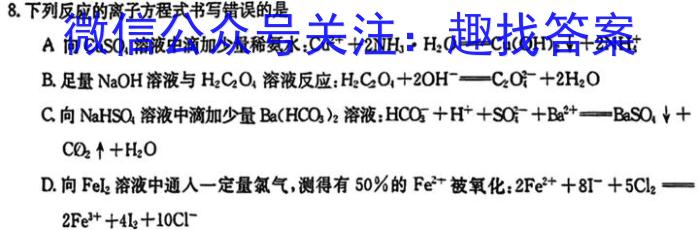 【精品】天一大联考 2024届高考冲刺押题卷(四)化学