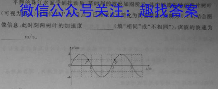 安徽省2023-2024学年高二春季阶段性检测物理`