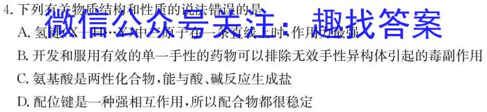 q安徽省安师联盟2024年中考权威预测模拟试卷（五）化学