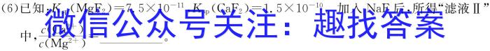 河南省2023-2024学年七年级第一学期期末教学质量检测化学
