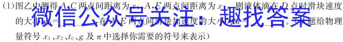 ǻ֮˼ά 2024갲ʡ꼶ѧҵս()xԾ