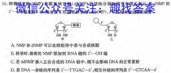 滨城高中联盟2023-2024学年度下学期高二期中考试生物学试题答案