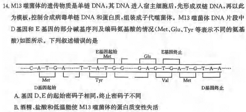 2024届皖豫名校联盟安徽卓越县中联盟高三五月联考生物