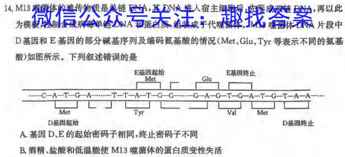 2024年河南省普通高中招生考试 密押卷B生物学试题答案