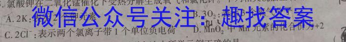 【精品】2023-2024学年安徽省七年级学习评价[下学期阶段性练习(一)][各科标题均不同]化学