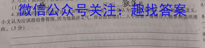 河南省2024中考导向总复习试卷 中考模拟试卷(四)4语文