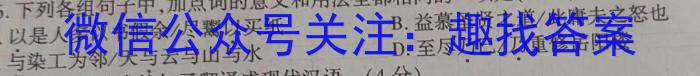 2024年河北省九年级基础摸底考试（三）语文