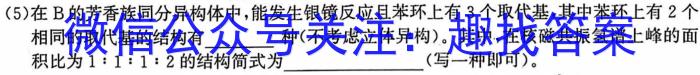 甘肃省武威某校2023-2024学年第二学期九年级学情评估试卷化学