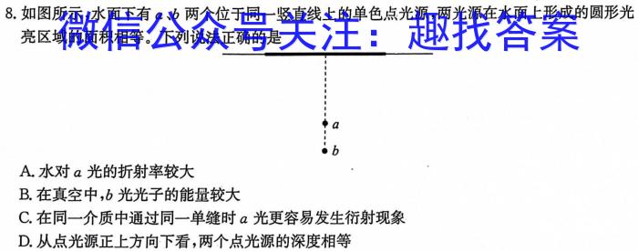 江西省2024年中考总复习·模拟卷(一)1h物理