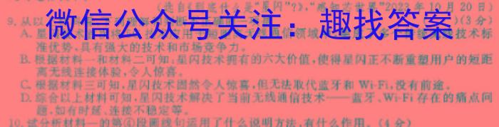 2024届陕西省九年级学业水平模拟测试(A)[MNZX G SX]语文