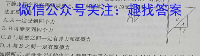 贵州省2024年初中学业水平考试（中考）模拟试题卷（二）物理