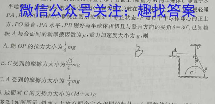 河南省郑州市2024年中招第一次适应性测试物理试卷答案