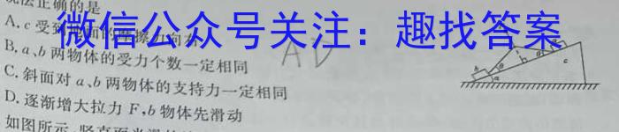 江西省2025届高三年级十校9月联考物理试卷答案