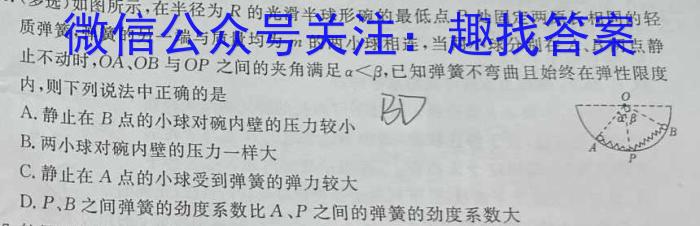 安徽省2023-2024学年度八年级5月月考（卷三）物理试卷答案