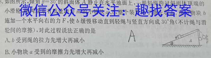  [华大新高考联盟]2024年高三名校高考预测卷（安徽卷）物理试卷答案