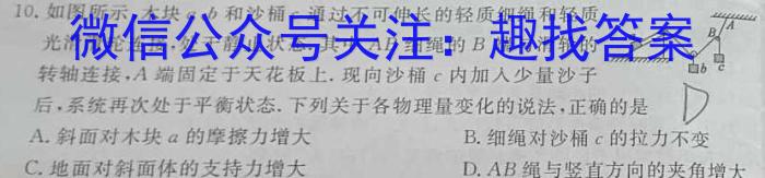 甘肃省2024届高三年级下学期2月联考（高三检测）物理`