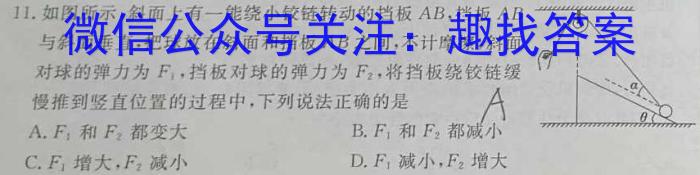 2024-2025学年度武汉市部分学校高三年级9月调研考试物理试卷答案