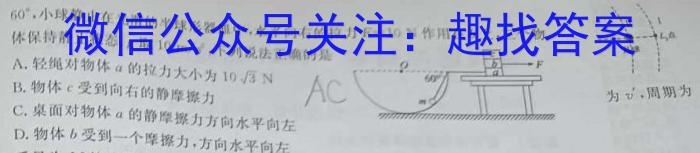 天一大联考 2024届安徽省普通高中高二春季阶段性检测h物理