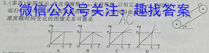 2024届攀枝花市高三第三次统一考试物理试卷答案