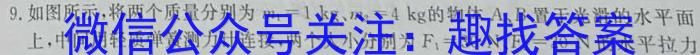 安徽省2024年九年级考前适应性评估(二) 7L物理试题答案