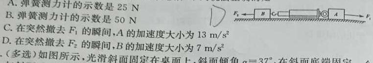 山西省长治市2025届高三年级上学期9月联考-(物理)试卷答案